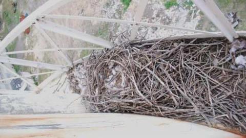 Gallery 2 - Insulating-Board-Plant25.jpg