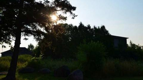 No Wine On These Vines - Upper-Story-Green34.jpg