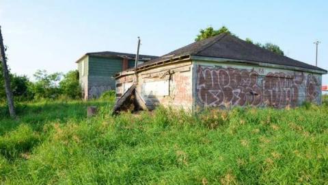 No Wine On These Vines - Upper-Story-Green16.jpg