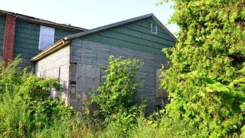 No Wine On These Vines - Upper-Story-Green17.jpg