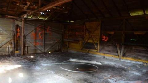 No Wine On These Vines - Upper-Story-Green29.jpg