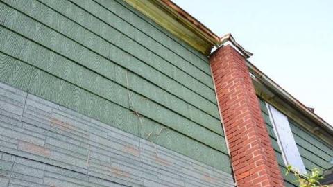 No Wine On These Vines - Upper-Story-Green18.jpg