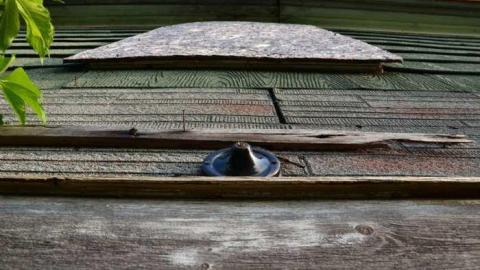 No Wine On These Vines - Upper-Story-Green32.jpg