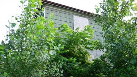 No Wine On These Vines - Upper-Story-Green21.jpg