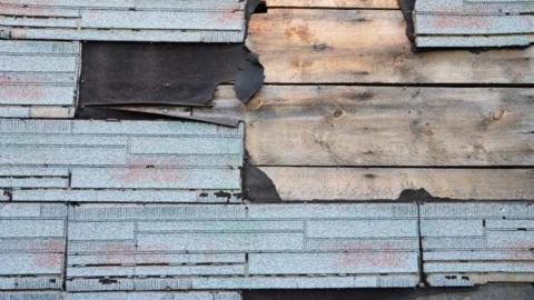 No Wine On These Vines - Upper-Story-Green22.jpg