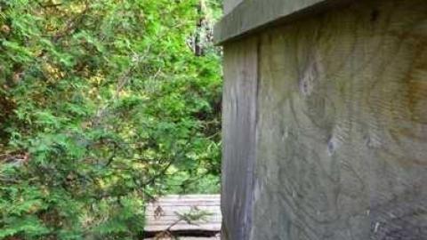 No Wine On These Vines - Upper-Story-Green36.jpg