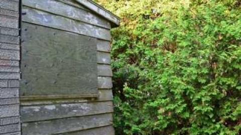 No Wine On These Vines - Upper-Story-Green24.jpg