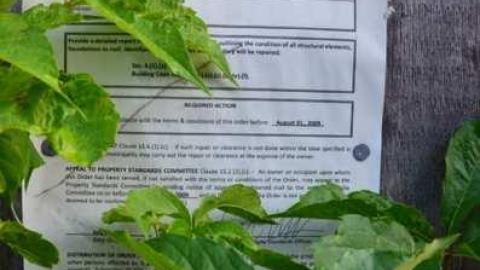 No Wine On These Vines - Upper-Story-Green26.jpg