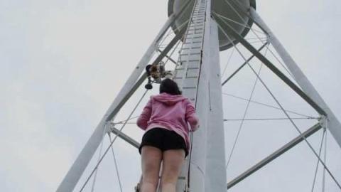 Gallery 2 - Insulating-Board-Plant29.jpg