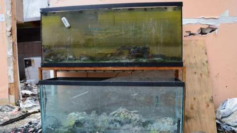 Carlos' Pizzaria - Carlos-Pizzaria38.jpg