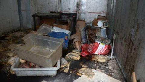 Carlos' Pizzaria - Carlos-Pizzaria42.jpg