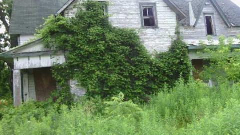 exterior - Long-Island-in-Manotick82.jpg