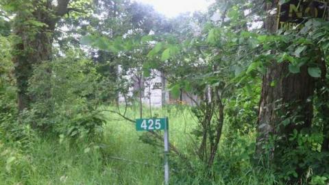 exterior - Long-Island-in-Manotick83.jpg