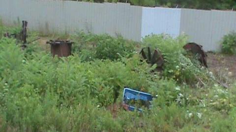 what a shame - Barber-Paper-Mill--Georgetown601.jpg