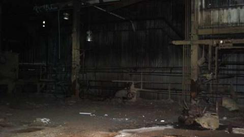 Gallery 2 - Insulating-Board-Plant60.jpg