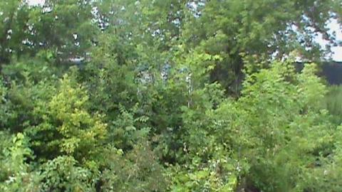 what a shame - Barber-Paper-Mill--Georgetown604.jpg