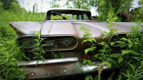 Muddy and Overgrown - fi3.jpg