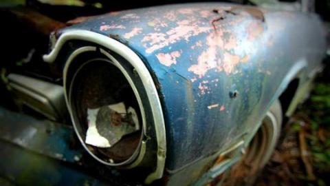 Muddy and Overgrown - rp4.jpg