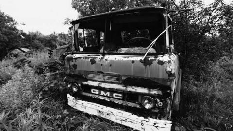 Muddy and Overgrown - vx6.jpg