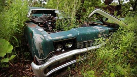 Muddy and Overgrown - jn7.jpg