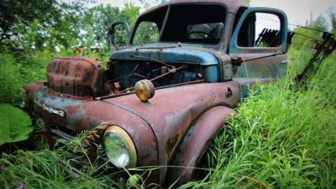 Muddy and Overgrown - 8.jpg