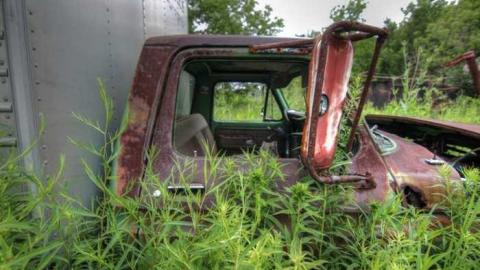 Muddy and Overgrown - vj9.jpg