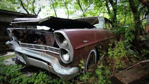 Muddy and Overgrown - 10.jpg