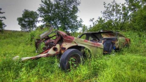 Muddy and Overgrown - 11.jpg