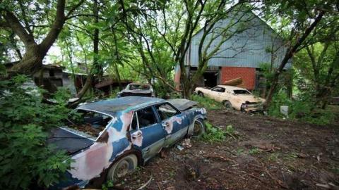 Muddy and Overgrown - 13.jpg