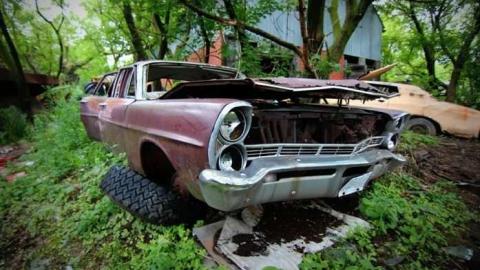 Muddy and Overgrown - 14.jpg