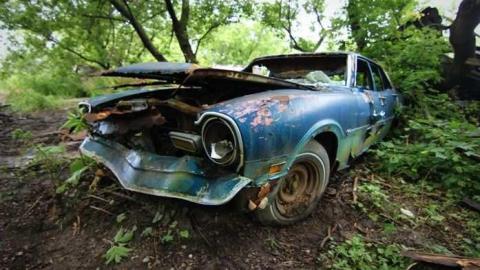 Muddy and Overgrown - 15.jpg