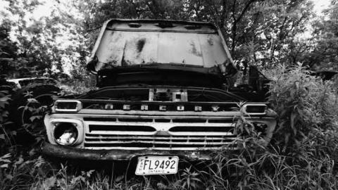 Muddy and Overgrown - 16.jpg