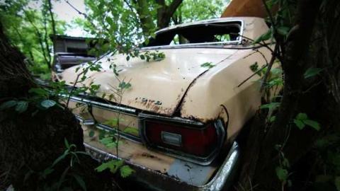 Muddy and Overgrown - 17.jpg