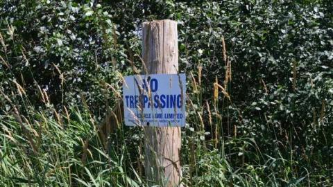 Getting Overgrown - Woodstock-1940s-House122.jpg