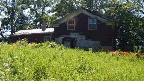 Photo from Getting Overgrown