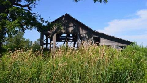 Photo from Getting Overgrown