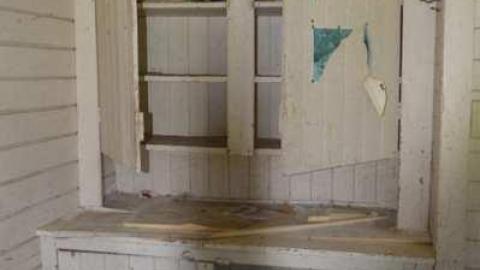 Photo from End of July 2013