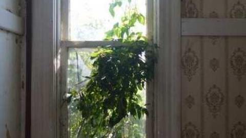 End of July 2013 - Abandoned-at-Sunset51.jpg