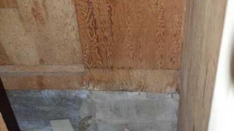 Photo from End of July 2013