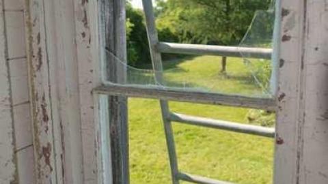 Photo from End of July 2013