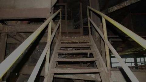 Gallery 2 - Insulating-Board-Plant46.jpg