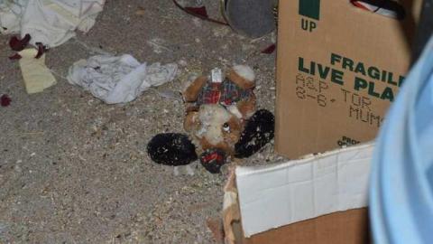 July 2013 - Creditville-House12.jpg