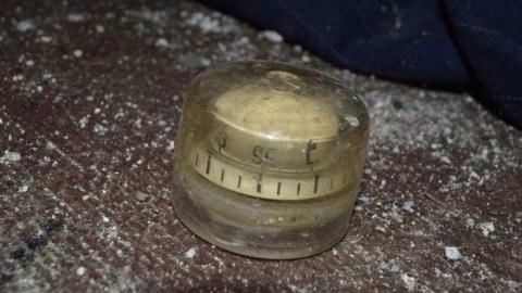 Getting Overgrown - Woodstock-1940s-House30.jpg