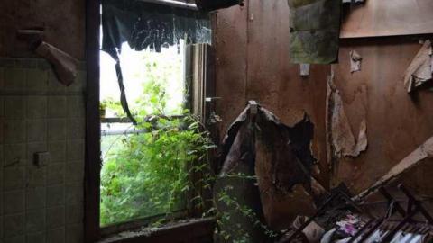 Photo from Getting Overgrown