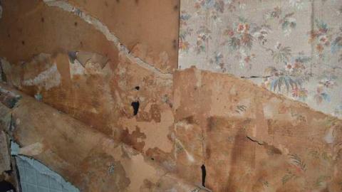 Getting Overgrown - Woodstock-1940s-House130.jpg