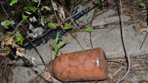 Getting Overgrown - Woodstock-1940s-House131.jpg