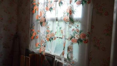 Getting Overgrown - Woodstock-1940s-House134.jpg