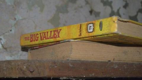 Getting Overgrown - Woodstock-1940s-House146.jpg