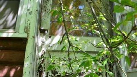 Photo from Remember When