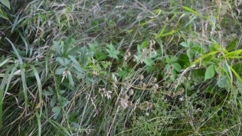 Remember When - Barrhaven-Hotel105.jpg